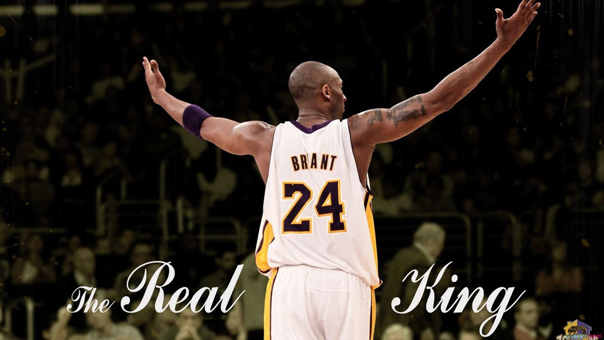 _老将经验如金,奇才稳扎稳打_,经验丰富的老将